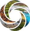 OPERAs logo swirl with exemplar images