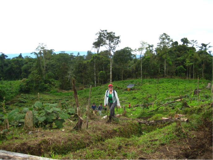Bottom-up but also top-down – why local institutions matter for REDD+ Bottom-up but also top-down – why local institutions matter for REDD+