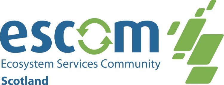 ESCom Launch ESCom Launch
