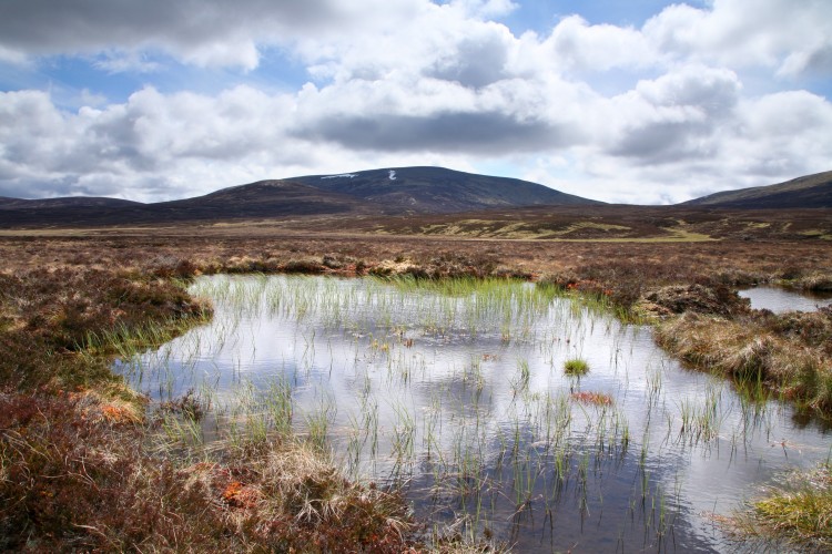 Update on OPERAs activities in Scotland Update on OPERAs activities in Scotland