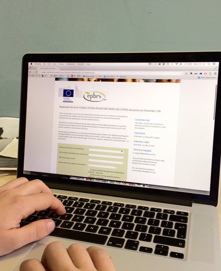Invitation for E-consultation on Nature-Based solutions Invitation for E-consultation on Nature-Based solutions