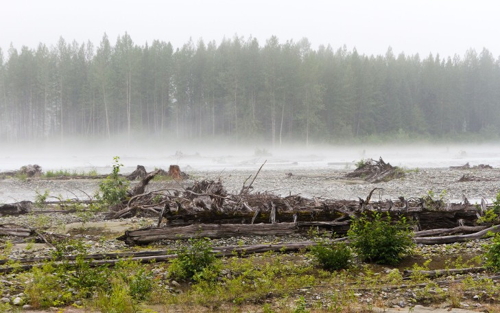 What do we mean by ‘operationalisation’ of the ecosystem services and natural capital concepts? What do we mean by ‘operationalisation’ of the ecosystem services and natural capital concepts?
