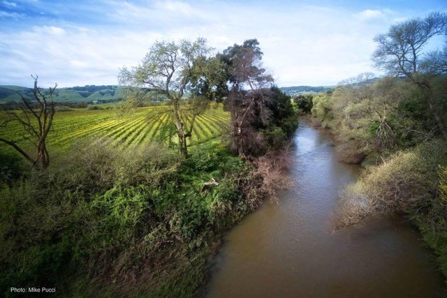 Plus que du vin: Perspectives sur les valeurs locales et les paysages viticoles