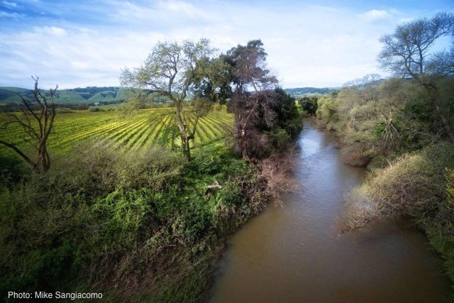 Mais do que vinho: Perspectivas sobre os valores locais e as paisagens da vinha Mais do que vinho: Perspectivas sobre os valores locais e as paisagens da vinha