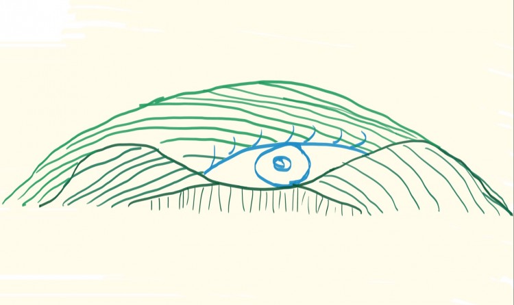 Socio-cultural values of ecosystem services: a review of concepts and methods Socio-cultural values of ecosystem services: a review of concepts and methods