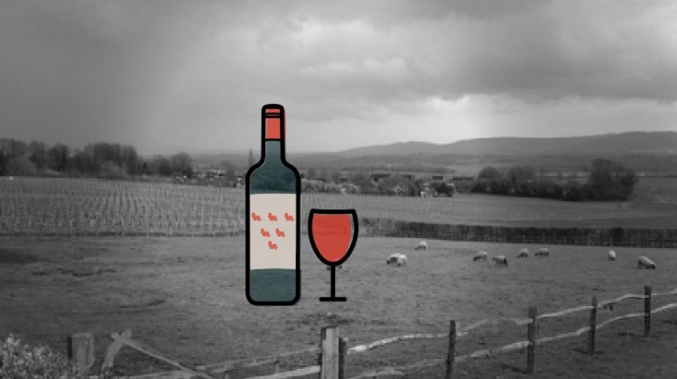The Sussex wine industry’s opportunity to become UK climate change pioneers The Sussex wine industry’s opportunity to become UK climate change pioneers