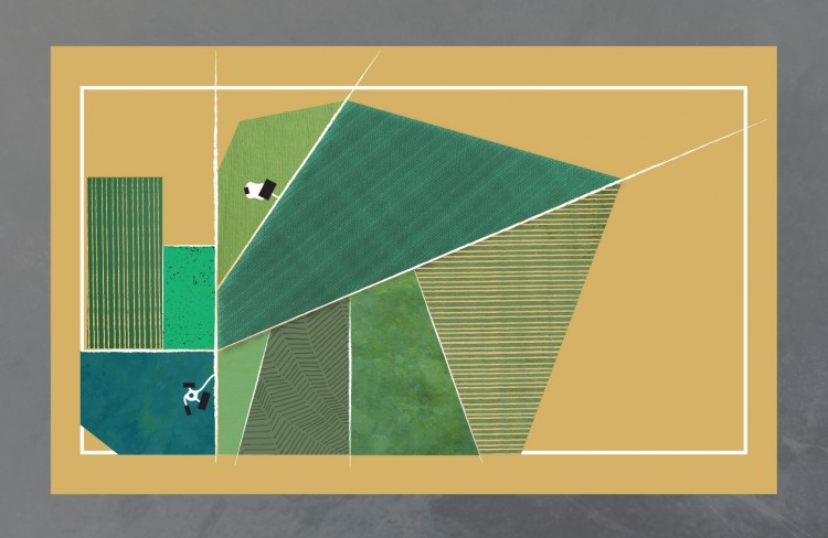 Ecosystem services uncorked: how do vineyards fit in to Nature’s scheme? Ecosystem services uncorked: how do vineyards fit in to Nature’s scheme?