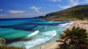 Seagrass in the Mediteranean